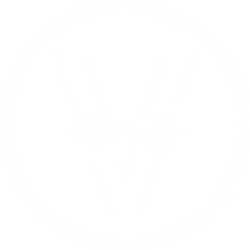 VERITACE-GARANTIE